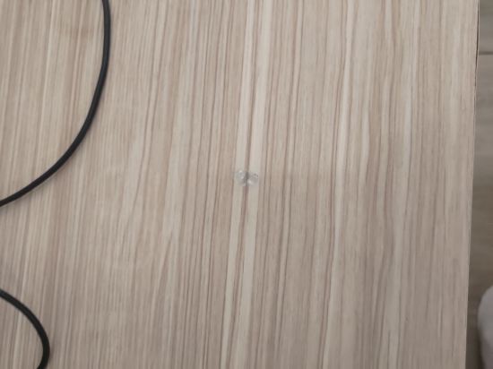 臺中圖樂文旅旅館優惠