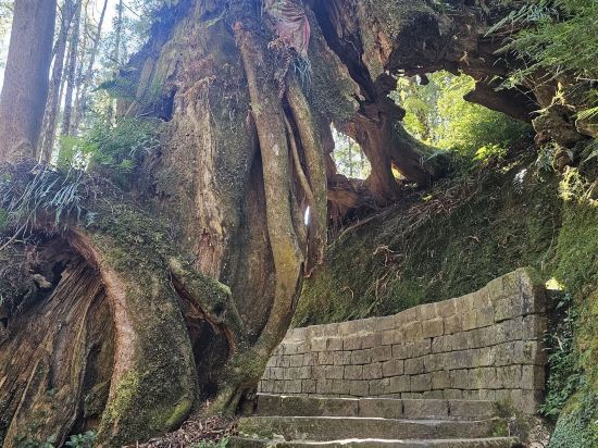 嘉義優遊商旅優惠