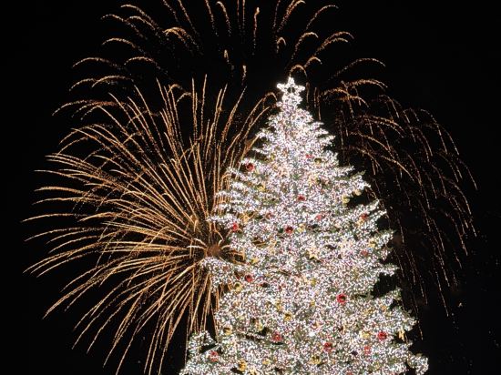 東急STAY函館早市酒店 燈之湯優惠