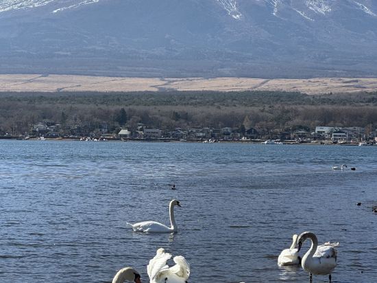 天然温泉　富嶽の湯　ドーミーイン三島 クーポン