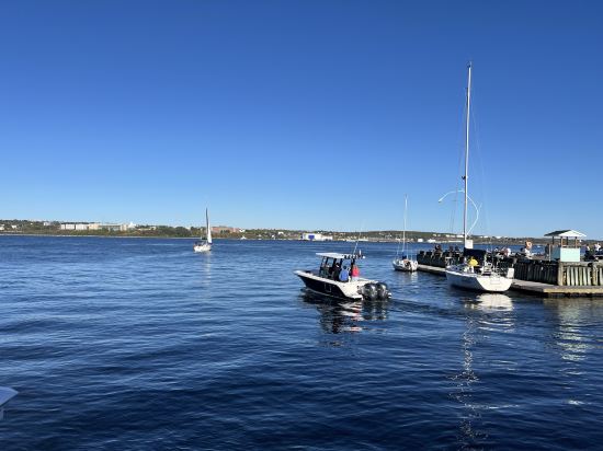 哈里法克斯酒店優惠