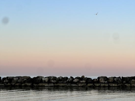 裏米尼朗格馬雷美居酒店優惠