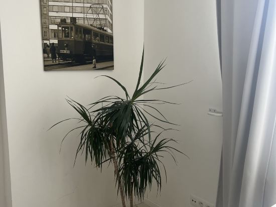 市中心便利地點公寓酒店優惠