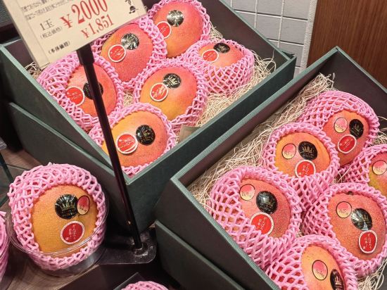 相鉄フレッサイン名古屋駅桜通口 クーポン