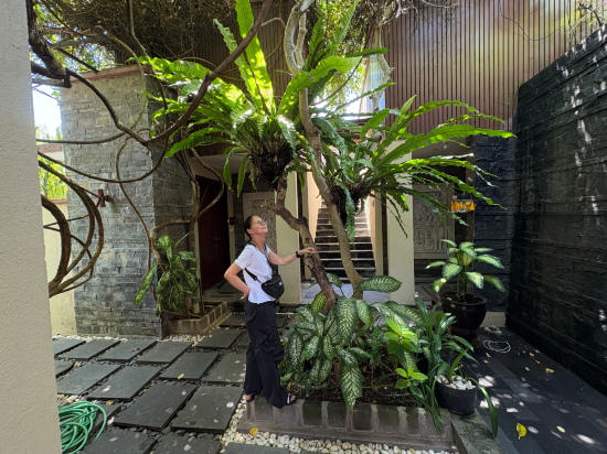 卡尼希卡別墅優惠