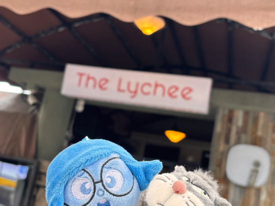 長洲荔枝酒店優惠