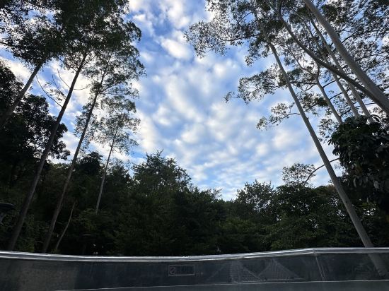 塘廈三正半山温泉酒店優惠