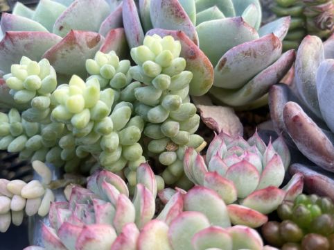 喜悦門酒店（廣州融創文旅城店）優惠