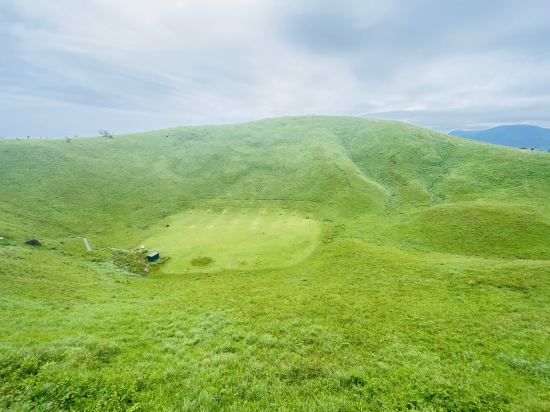 伊豆の家UNO クーポン