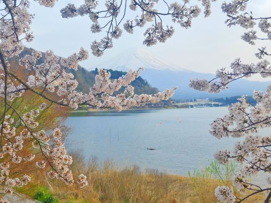 伽羅瓦新大久保酒店優惠