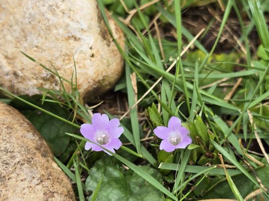 奎斯特別墅優惠