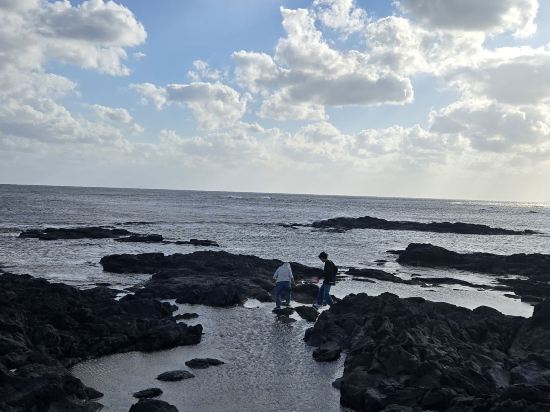 WE호텔 제주 쿠폰