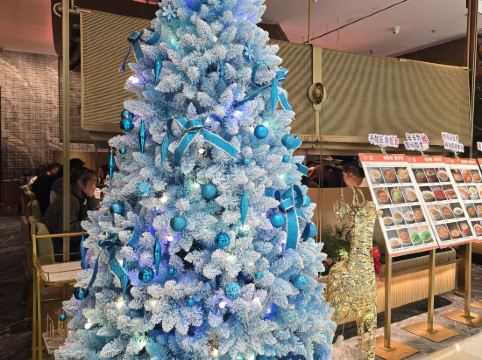 深圳喜悦假日酒店優惠