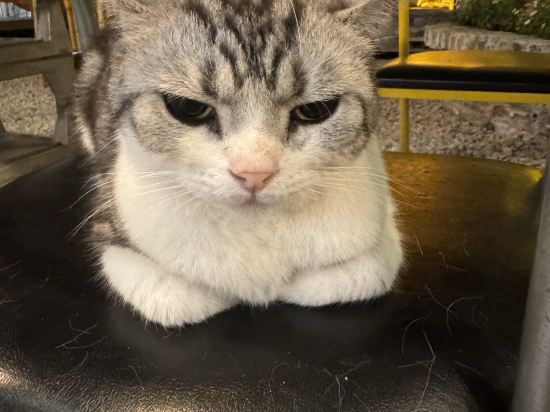 中山愛百得藝術酒店優惠