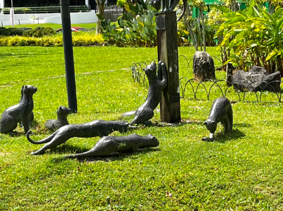 古晉帝國河岸酒店優惠