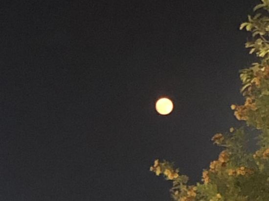 珠海璃上飯店（情侶路海濱泳場店）優惠