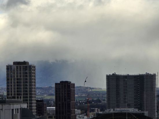 廣州中心皇冠假日酒店優惠