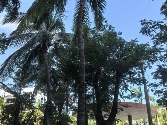 三亞國光豪生度假酒店優惠