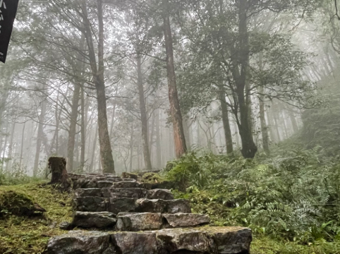 宜蘭大同明池山莊（明池森林遊樂區）優惠