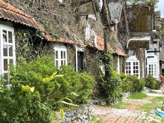 金馬倫高原種植園鄉村酒店優惠