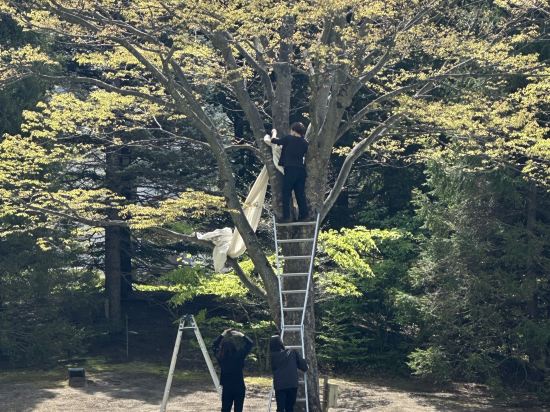 仙台ロイヤルパークホテル クーポン