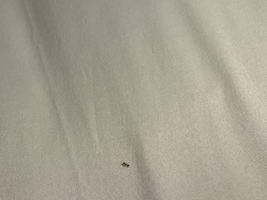 S3 暹羅曼谷飯店優惠