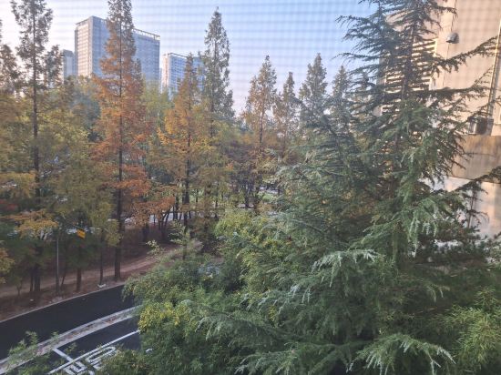 清州瑪麗珍飯店優惠