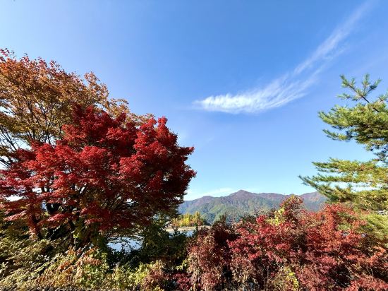 富士レークホテル クーポン