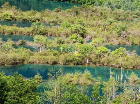 Fusheng Half-Day Xianqingju (Jiuzhaigou Eternal Love Store) Öffentliche Flächen Photos