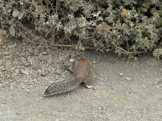 聖西蒙摩根酒店優惠