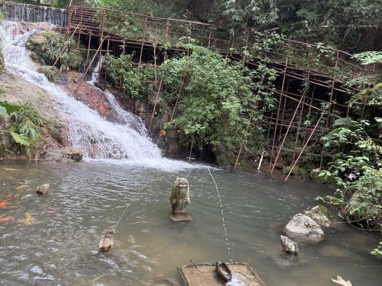 新興翔順龍山酒店優惠