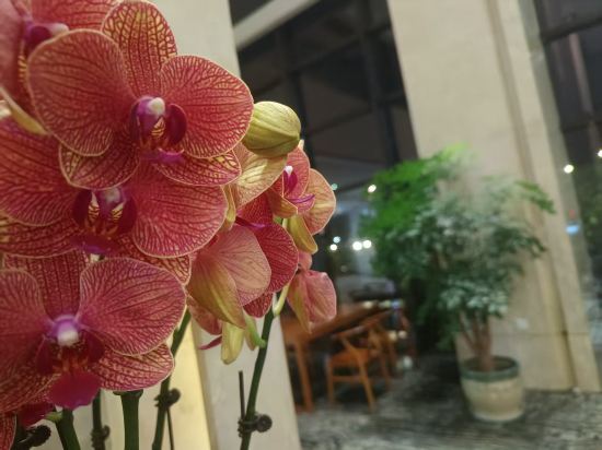 杭州蕭山國際機場雷迪森飯店優惠