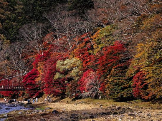 秘湯にごり湯の宿　渓雲閣 クーポン