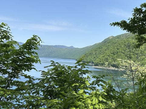 休暇村 支笏湖 クーポン