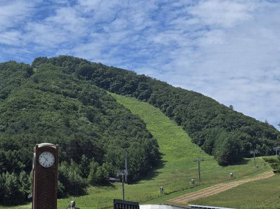 용평 리조트 쿠폰