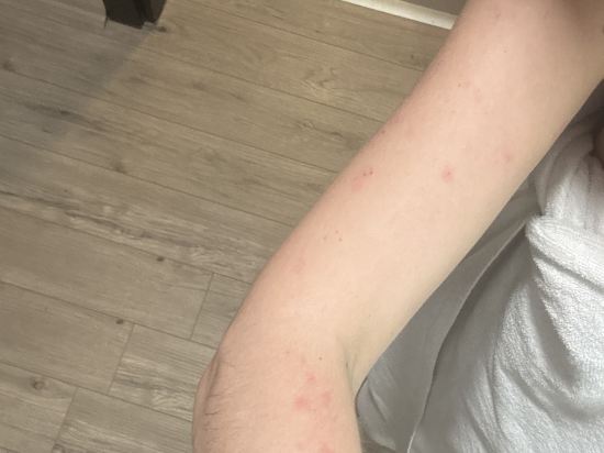 伊斯坦堡卡德柯伊假日酒店優惠