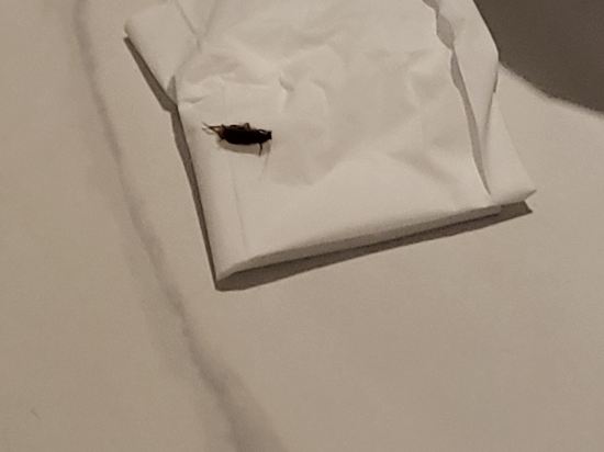 호텔 인피니 쿠폰