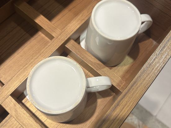 台東樂樂日暉溫泉飯店優惠