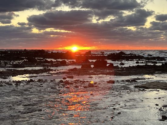 黃金崎不老不死溫泉旅館優惠