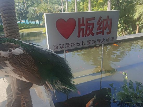 西雙版納雲投喜來登大酒店優惠