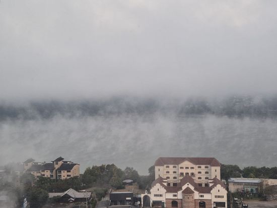 블룸비스타 호텔 쿠폰