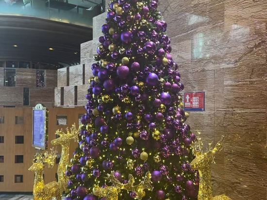 深圳温德姆至尊酒店優惠