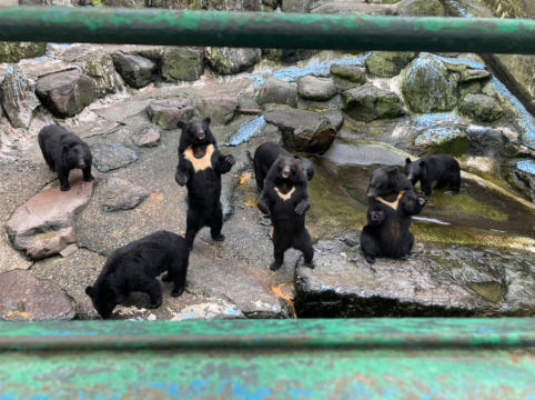 たびの ホテル 飛騨高山 クーポン