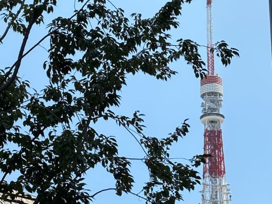 新宿ワシントンホテル 新館 クーポン