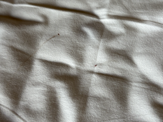 久住高原小屋飯店優惠