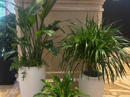 昆明南亞風情園豪生大酒店優惠