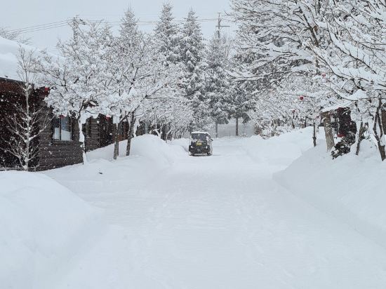 カナディアンビレッジ　モントリオール クーポン
