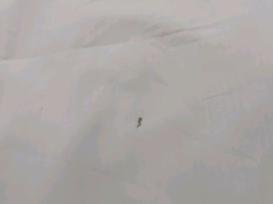 承攜行旅桃園復興館優惠