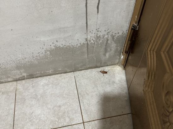 金門飛鳥集行館優惠