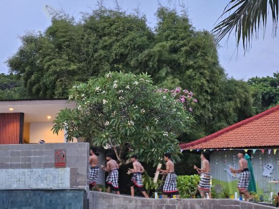 梅魯薩卡努沙杜瓦優惠